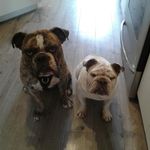 Matt Kaspers - @mattkaspers - Instagram