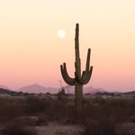 Matt Kasten - @kastenmatt - Instagram