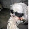 kiffff - @mattkeifer0811 - TikTok