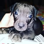 abagail - @mattkeil914 - Instagram