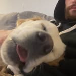 Matt Kenney - @mattkenney__ - Instagram