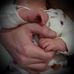 Matt Kirkland - Facebook