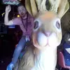 heymattkirsch - @matthewkirsch7 - TikTok