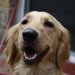Matt Kirsch - @mattkirsch85 - Instagram