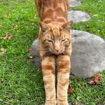 Matt Kirsch - @matthew_w_kirsch - Instagram