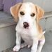 Matthew Klim - Facebook