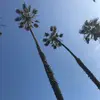 Hi - @matt_klinger - TikTok