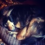@mattes_klostermann - Instagram