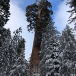 Matt Knoll - @mattknoll2020 - Instagram
