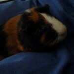mattkolar - @mattkolar123 - Instagram