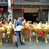 mattkong414141 - @mattkong414141 - TikTok