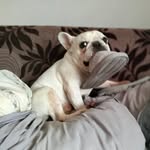 Mattou - @mattkoski_ - Instagram
