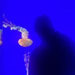 @matt_kovacs_ - Instagram