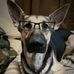 Matt Kunkel - Facebook