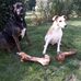 Matthias-Laura Kunkel - Facebook