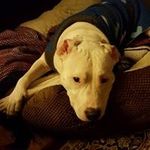 Matt Lackey - @lackey6848 - Instagram