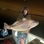 Matthew Lally - @mattlally13 - Instagram