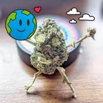 Matt Langford - @matt.langford.520562 - Instagram