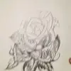 mattlangford74gmail.com - @mattlangford74gmail.com - TikTok