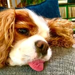 Matt Langston - @thejellyrox - Instagram