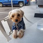 Matt Lawless - @matt.lawless.50 - Instagram