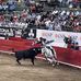 Matt Leal - Facebook