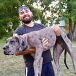 Matt Leal - @mattl5090 - Instagram