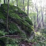 Matthew Leasure - @laural_mountain_caving - Instagram