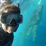 Mathew Lederman - @matails1 - Instagram