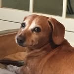 Matthew R Lederman - @mlederhead - Instagram