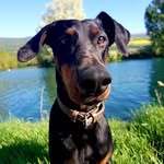 matthieu Ledermann - @ledermannmatthieu - Instagram