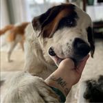 Matt-Angela Lehner - @lehner3503 - Instagram