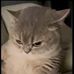 Matt Julien Leis - Facebook