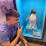 Mattlevan - @mattlevan15 - Instagram