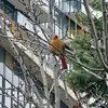 Matt Li - @matt.li7 - TikTok