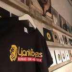 Matt Lionvibes - @matt_lionvibes - Instagram