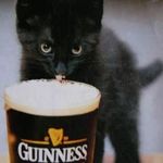 Matt Libby - @guinnessforcats - Instagram