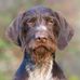 Matt Light Photography - Facebook