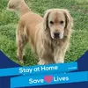Matt Lightner - @mattfarmlife - TikTok