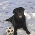 Matt Lilly - Facebook