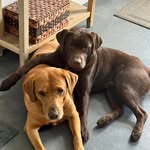 Matt Lindley - @bigsky614 - Instagram