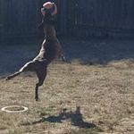 Matt Lindsey - @matt.lindsey.5 - Instagram