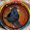 MATT LOFT TV - @mattloft71 - TikTok