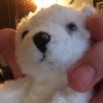Matthew - @matt_loring - Instagram