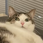 Matt Luu - @mluuser - Instagram