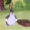 if you see this hi - @matthewmanzo2 - TikTok