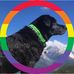 Matt Mapes - Facebook