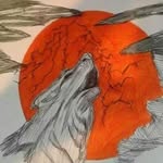 Matt Mapes - @teamvortexwolf - Instagram