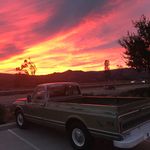 Matt Maples - @maples_matt - Instagram