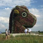 Matt Maples - @m.maples - Instagram